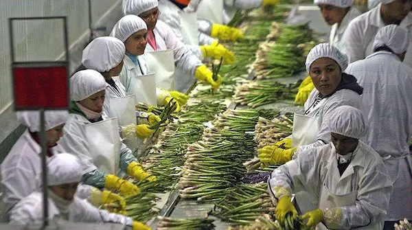 Agricultura y agroindustria