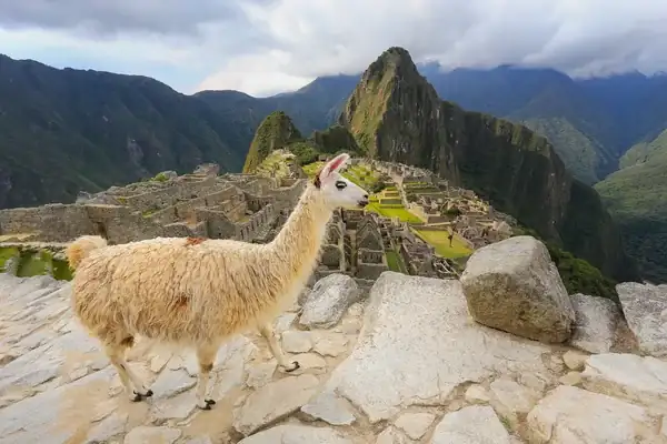 Andean Road Peru inspiración para un turismo más humano