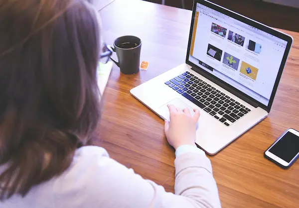 autoridad de dominio web