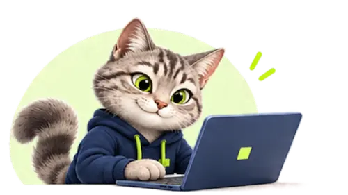 Limi trabajando en el diseño de una página web.
